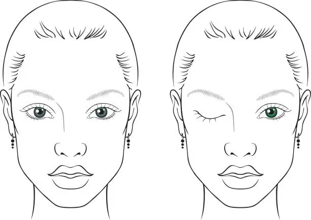 Vector illustration of Face chart woman