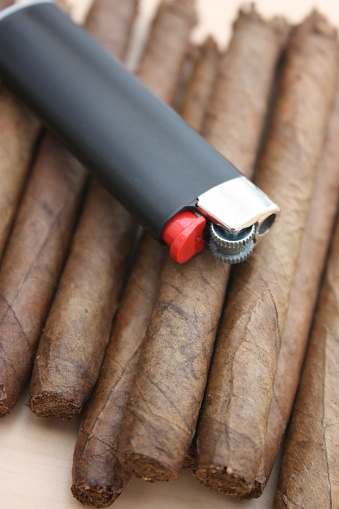Havana Cigars - Tobacco Leaf