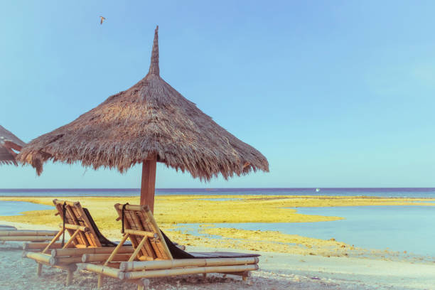 istock Tropical parasol with sunbed 670705160