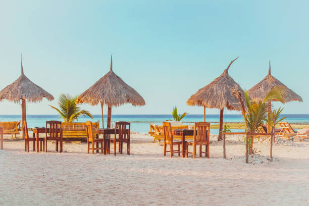 Tiki hut bar and chairs at the beach Group of tropical tiki hut bar and chairs at the beach. It's placed in a row. pinus pinea photos stock pictures, royalty-free photos & images