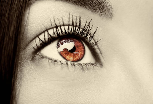 istock Beautiful insightful look woman's eye 670708160