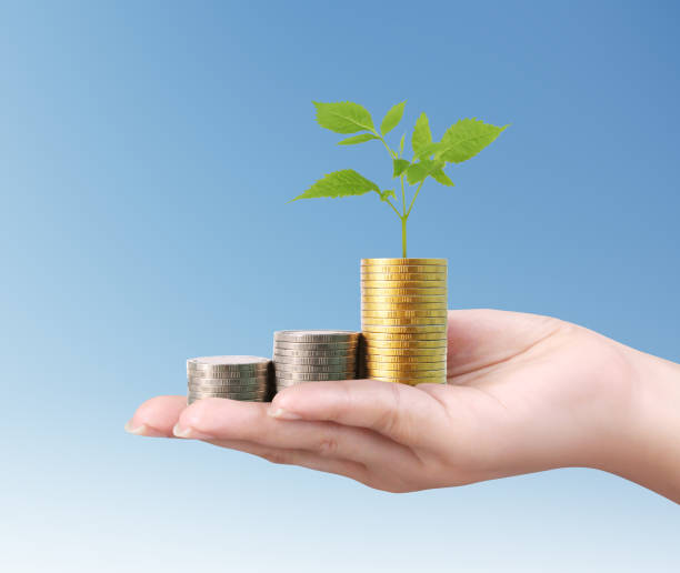 istock money growing from coins in hand 670710096
