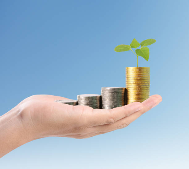 istock money growing from coins in hand 670710104