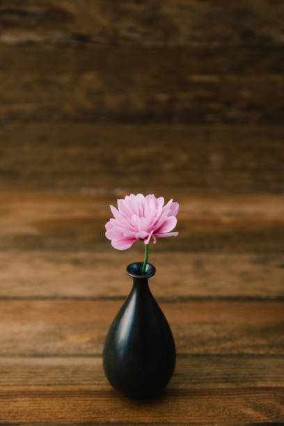 istock Flower in vase. Minimal rustic concept 670712846