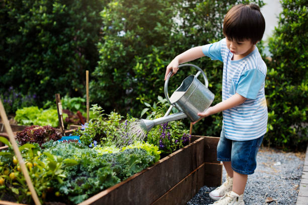 istock Kid in a garden experience and idea 670720198