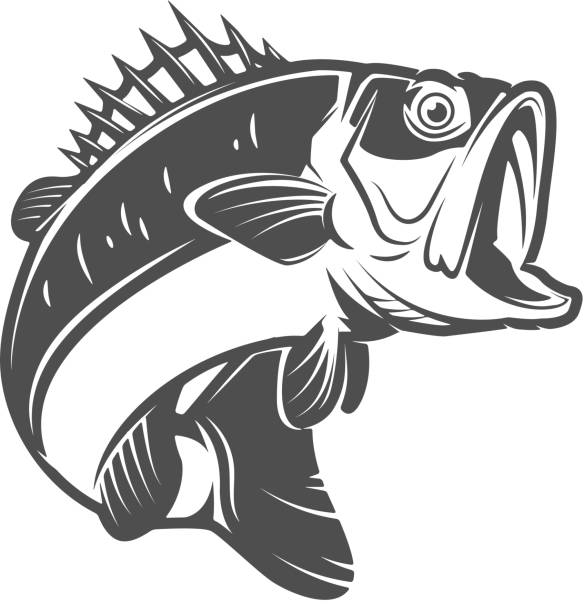 ilustrações, clipart, desenhos animados e ícones de baixo de peixe ícones isolados no fundo branco. elemento de design para o ícone, etiqueta, emblema, sinal, marca. - bass