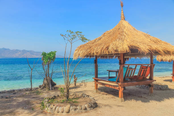 istock Relaxing beach hut next to ocean 670724444