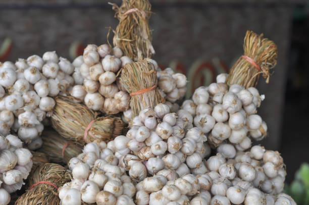 istock Many garlics in Market from Thailand 670727052