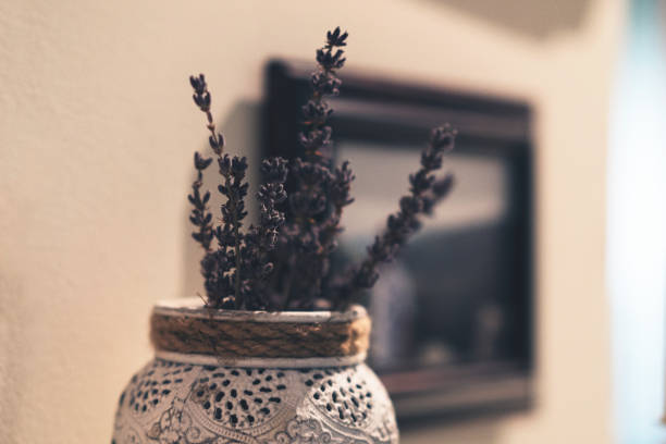 istock Dried lavender on a vase displayed at home 670727872