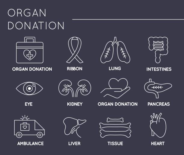 illustrations, cliparts, dessins animés et icônes de jeu d’icônes organ donation - transplantation cardiaque