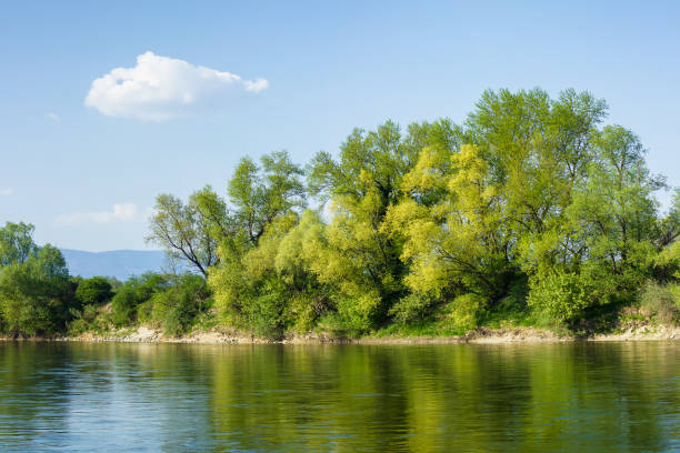 istock Beautiful green trees on the river shore reflecting in the water 670743868