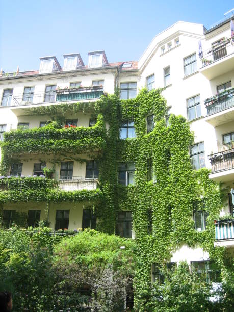 Nature takes over urban landscape