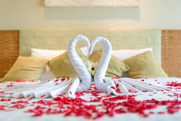 美しい赤いバラの花と蜂蜜月ベッドの上のタオル装飾からカップル白鳥デザイン。-(選択と集中) - honeymoon romance wedding bedroom ストックフォトと画像