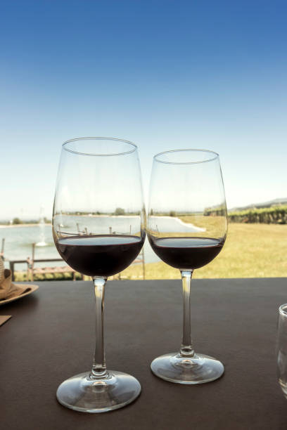 istock Glasses of red wine 670755120