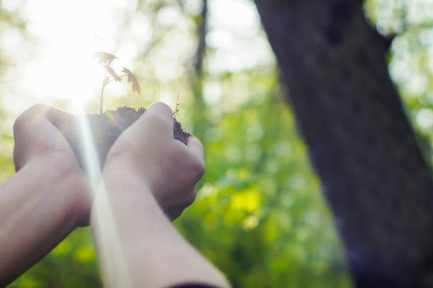 istock Female hands holding soil and plant, closeup a 670755136