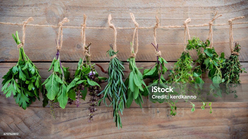 Assorted hanging herbs ,parsley ,oregano,mint,sage,rosemary,sweet basil,holy basil,  and thyme for seasoning concept on rustic old wooden background. Herbal Medicine Stock Photo