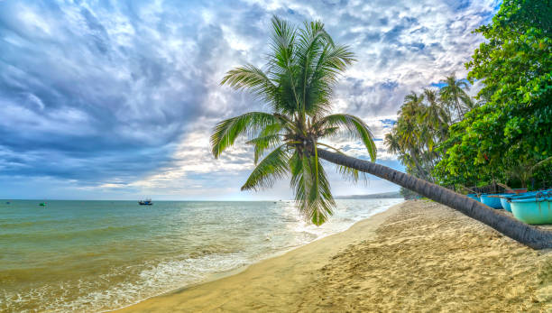 istock Tropical beach with coconut palm 670762956