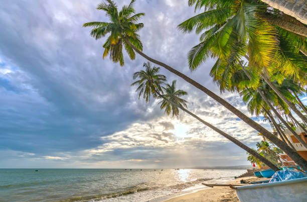 istock Tropical beach with coconut palm 670763176