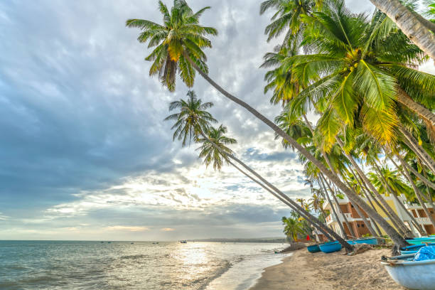 istock Tropical beach with coconut palm 670765082