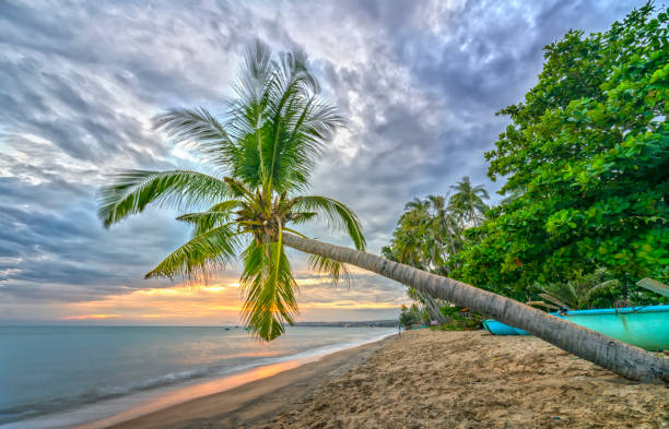 istock Tropical beach with coconut palm 670765144