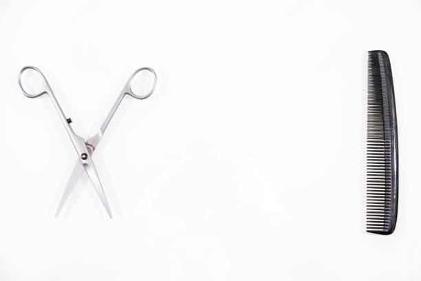 Pet Grooming Salon Scissors Collection.