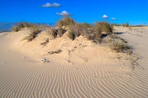 istock Ras El Rmal island of Djerba 670771598