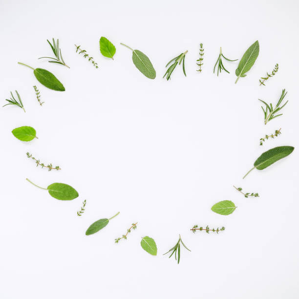 istock Heart shaped frame various fresh herbs rosemary, sage ,thyme and peppermint leaves flat lay with central copy space on white wooden background. 670782090
