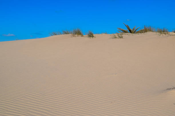 istock Ras El Rmal island of Djerba 670782168