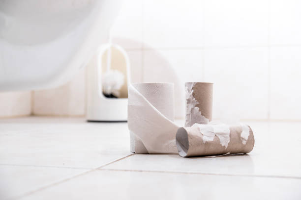 istock Empty Toilet Paper Rolls on the floor 670782948