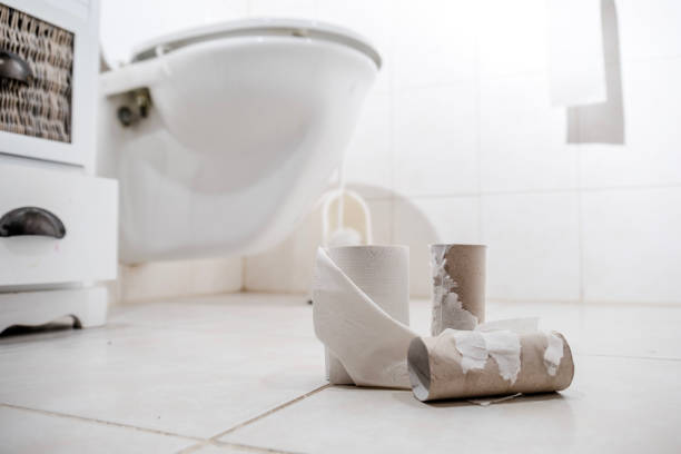 istock Empty Toilet Paper Rolls on the floor 670783016