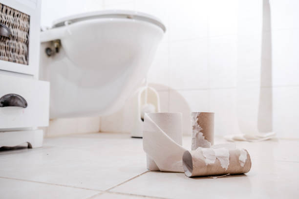 istock Empty Toilet Paper Rolls on the floor 670783082