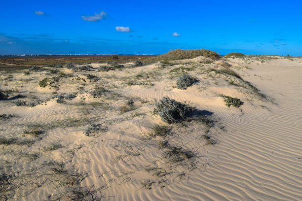 istock Ras El Rmal island of Djerba 670785600