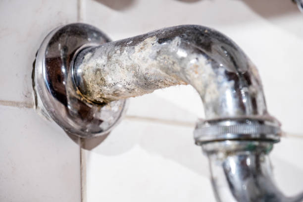 istock Fungal chalk growing on the siphon 670785660