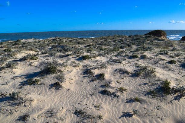 istock Ras El Rmal island of Djerba 670785686