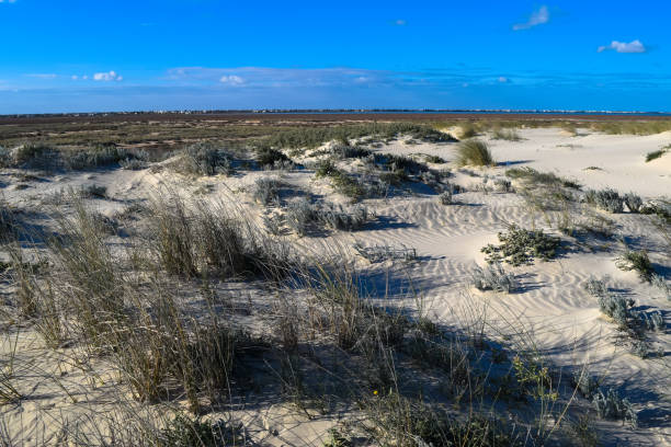 istock Ras El Rmal island of Djerba 670785914