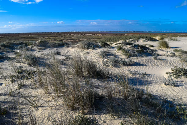 istock Ras El Rmal island of Djerba 670786770
