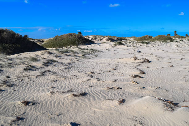 istock Wild beach in Tunisia. Djerba island 670789512