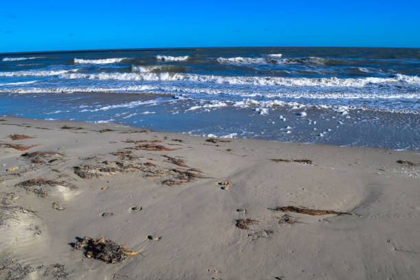 istock Wild beach in Tunisia. Djerba island 670792378