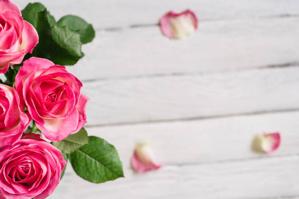 istock Celebration frame with pink roses on white planks. Greeting card 670793038