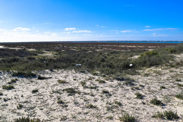 istock Wild beach in Tunisia. Djerba island 670796840
