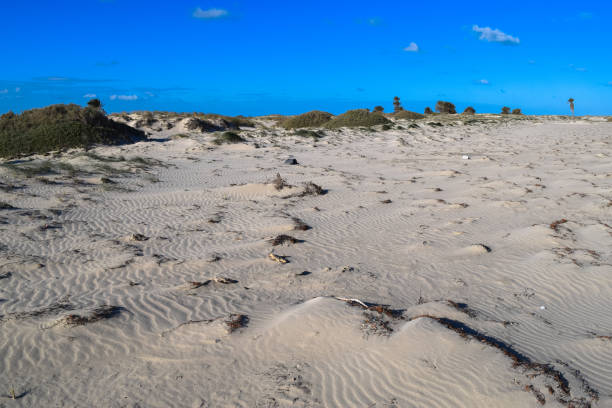 istock Wild beach in Tunisia. Djerba island 670797068