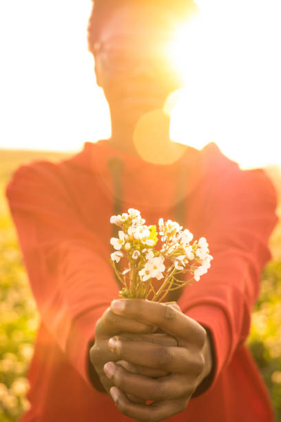 Young girl holding fresh flowers in a field stock photo