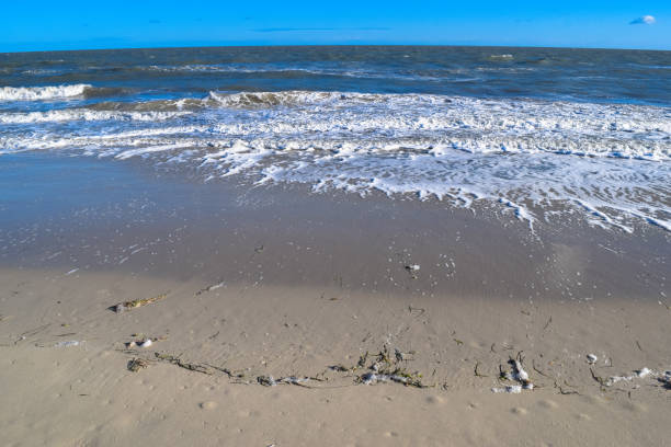 istock Wild beach in Tunisia. Djerba island 670805898
