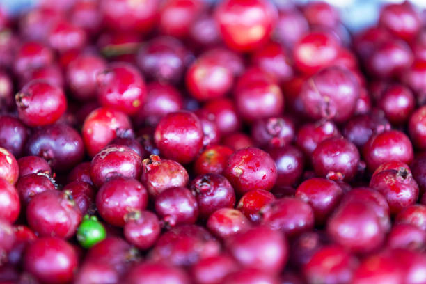 Full frame close up on a stack of Strawberry guavas (Psidium cattleyanum) on a market stall.