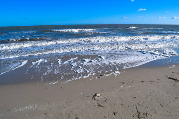 istock Wild beach in Tunisia. Djerba island 670815636