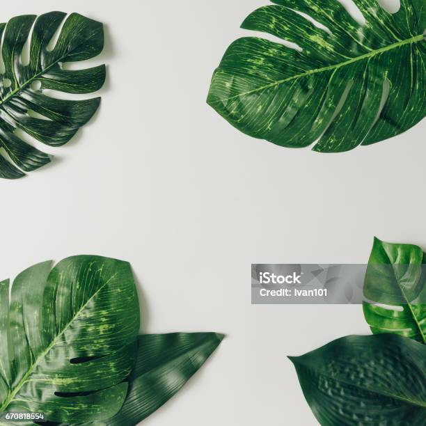 Creative Nature Layout Made Of Tropical Leaves And Flowers Flat Lay Summer Concept Stock Photo - Download Image Now