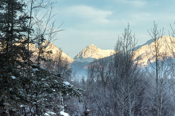 istock Mountain ranges in Alaska during winter 670818948