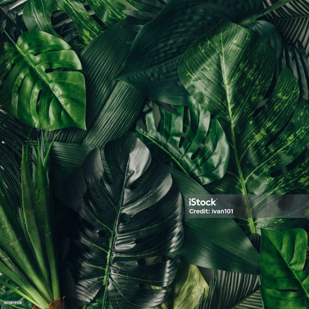 Creative nature layout made of tropical leaves and flowers. Flat lay. Summer concept. Flower Stock Photo