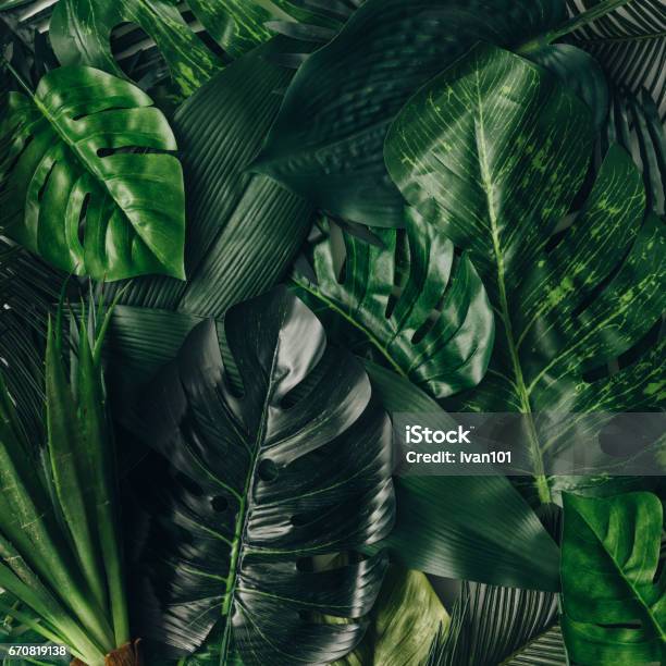 Creative Nature Layout Made Of Tropical Leaves And Flowers Flat Lay Summer Concept Stock Photo - Download Image Now