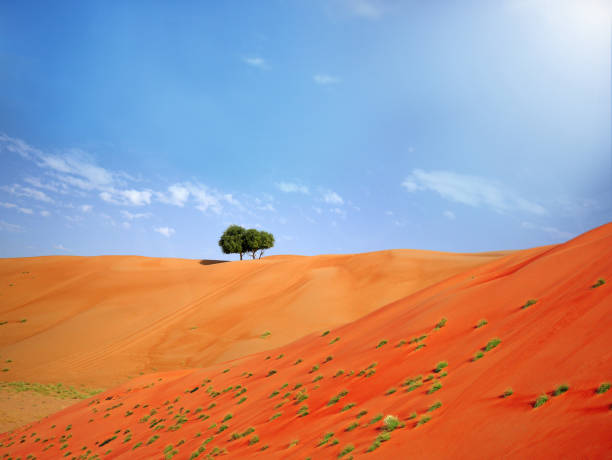 laranja areia do deserto wahiba, omã - travel adventure water oman - fotografias e filmes do acervo